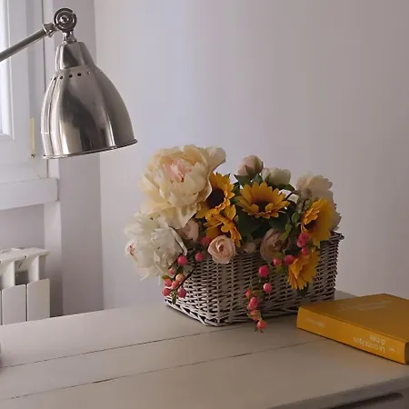 公寓 Il Nido Di Jonathan Livingstone