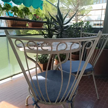 Il Nido Di Jonathan Livingstone